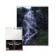 BCW Photo Sleeve - 8 X 10 (100ct Pack)