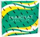 2020 Panini Immaculate Collegiate Football Hobby Box