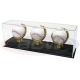 BCW Deluxe Acrylic Gold Glove Trip Baseball Display Acrylic Base